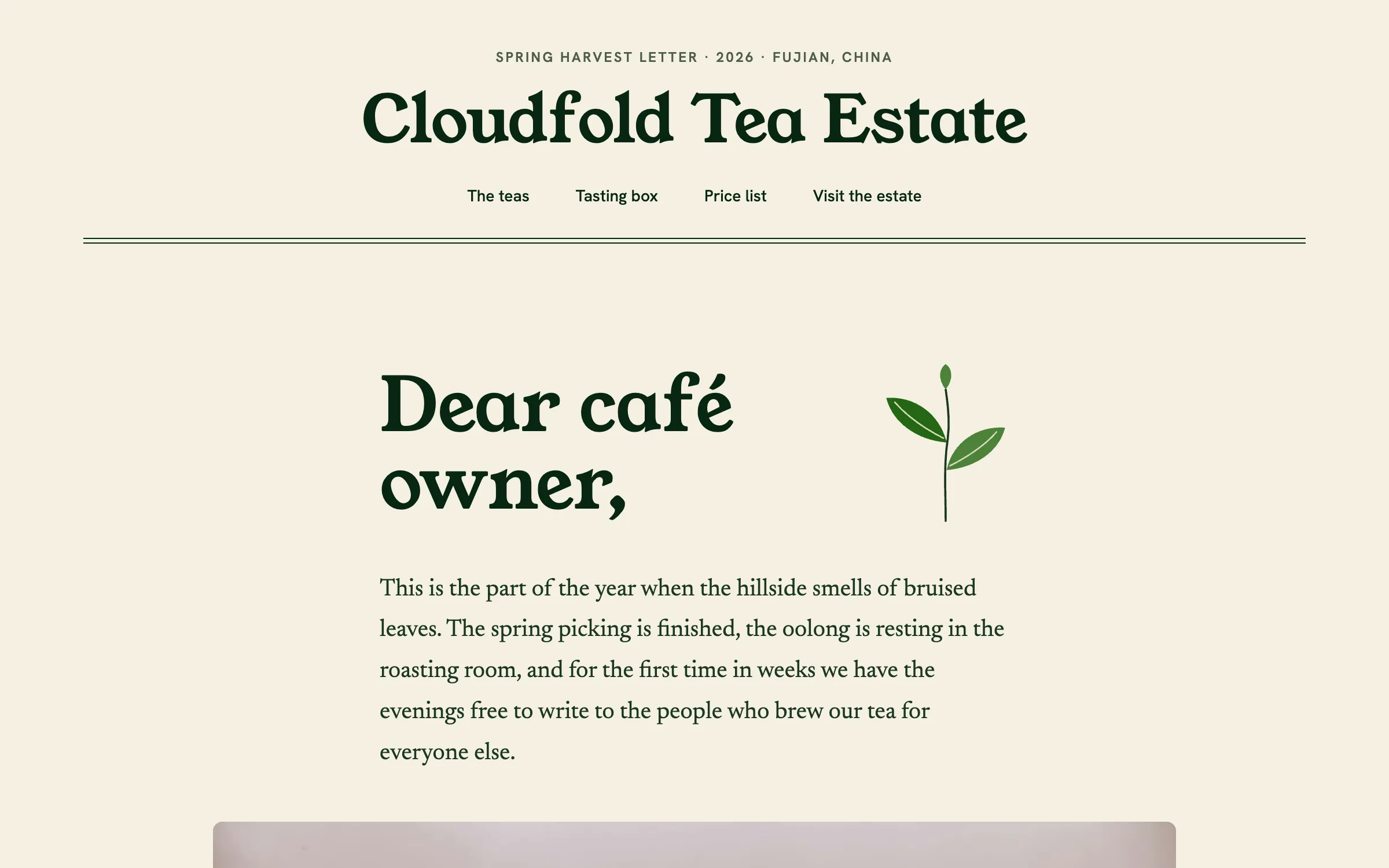 Cloudfold Tea Estate hero: letter-style layout with the serif greeting Dear café owner, and a sprig of tea leaves